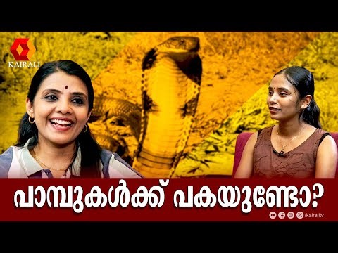 കാറിന്റെ ഡോറിൽ കേറിയ വെള്ളിക്കെട്ടൻ common krait| Interview with Roshni G S PART 2| Snake Rescue
