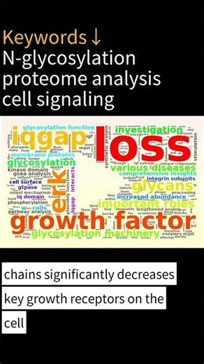 CHO Cell Paper Summary | N-Linked Glycosylation in Chinese Hamster Ovary Cells Is Critical for Insu…