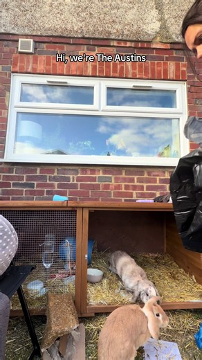 How to Improve a Small Hutch for Rabbits — Steps to Give Bunnies More Space