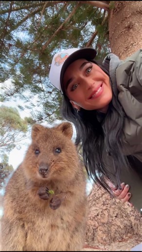 2025, there’s nothing more you can take…