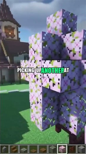 Minecraft Exploit That Changes Everything 🐛 #shorts
