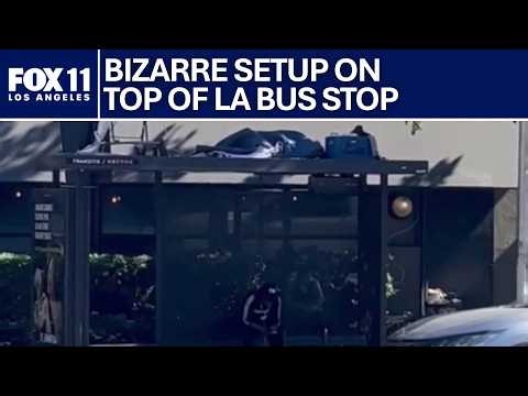 Homeless encampment spotted on top of a Los Angeles bus stop
