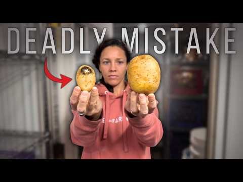 This Common Root Cellar Mistake Can Be DEADLY (easy fix!)