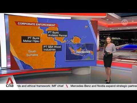 Haze in Singapore: Preventive measure notices sent to 7 companies responsible for fires