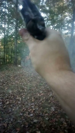 just a short shooting session with a saa.