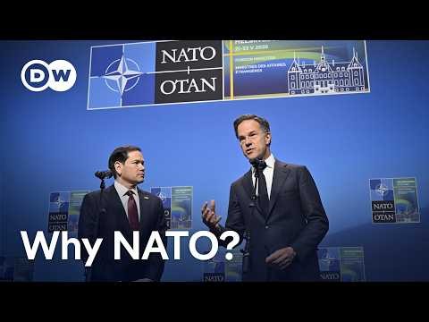 Donald Trump's troops U-turn bewilders NATO allies | DW News
