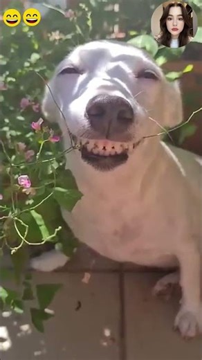 Crazy epic fails 😂😂 😂 #shorts #memes #fails #funnymoments