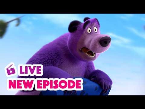 🔴 LIVE STREAM 🎬 Masha and the Bear 🆕 New Episode 🥳 April Fool's Day 🤪👋