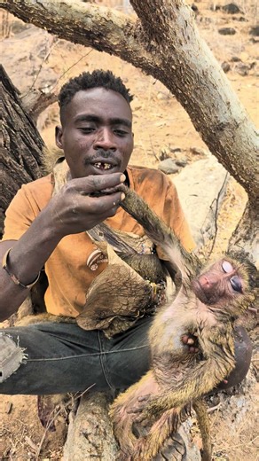 ❤️🐒 little baboon, precious moment! 🌿 #africa #reels