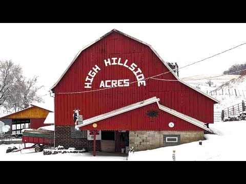 Fixing Up The Old Dairy Barn! Keeping The Manure Moving and the Milk Flowing!