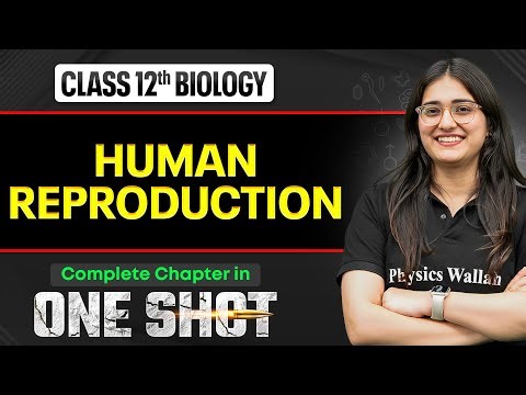 Human Reproduction Class 12 One Shot 🔥| NCERT Full Revision + PYQs | Biology Chapter 3 | VIJETA 2026