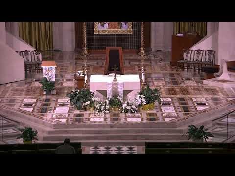 Live from the Cathedral of the Most Blessed Sacrament