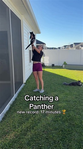 Catching a Panther: Tuxedo Cat Zoomies and Playful Chase