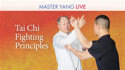 Tai Chi Fighting Principles MASTER YANG LIVE Dr. Yang, Jwing-Ming