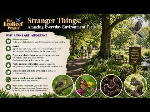 Why Are Parks Important And Why They Matter More Now