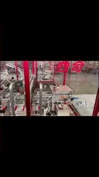 Fully Automated Bottling, Cartoning, and Palletizing Line for Multiple Industries