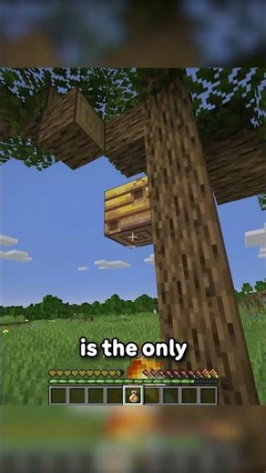 I DIDN'T KNOW HONEY DID THIS-