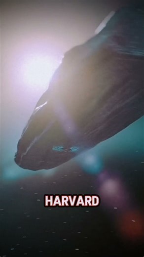 The First Interstellar Visitor: Alien Probe or Natural Object?