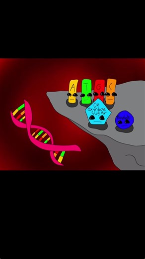 We built this DNA #webuiltthiscity #biology #animation #fyp #dna | we built this city