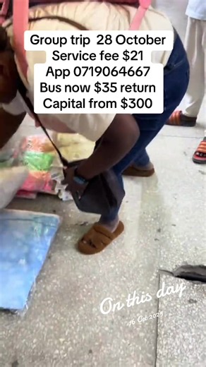 Zim-Zambia Group Trip 28 Oct 2025: Bus, Service Fee & Capital Info