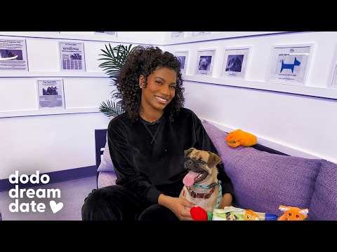 Taylor Rooks Plans The Perfect Day For Her Dodo Dream Date | The Dodo