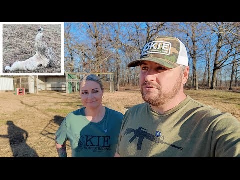 What A SURPRISE! I'm Not Sure We're READY For This!