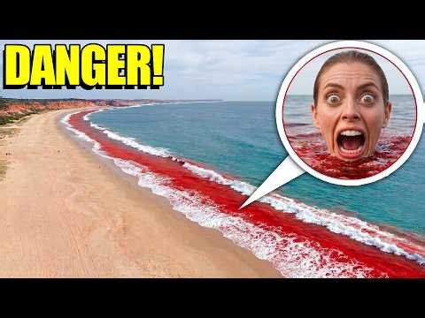 If you see this in the OCEAN…STAY AWAY! (KEEP OUT OF THE WATER!)