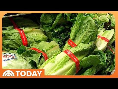 Tips to Stay Safe as Cases of Major Stomach Bug Grow Across US