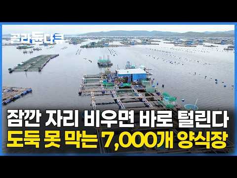 하도 비싸서 도둑이 바글바글. 바다 위에서 먹고 자면서 양식장 지키는 가족｜극한직업｜#골라듄다큐