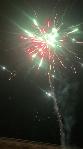 Educational Fireworks Display: Learn About Fireworks