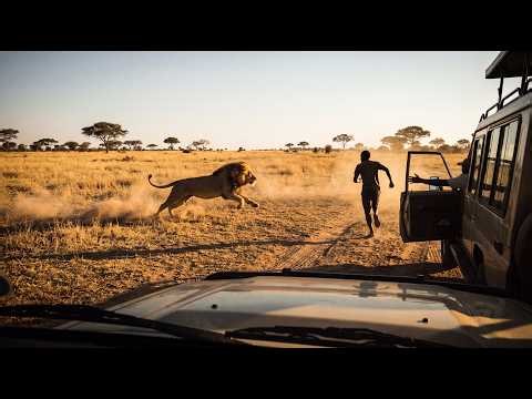 199 Most BRUTAL ANIMAL ATTACKS Caught on Camera #77