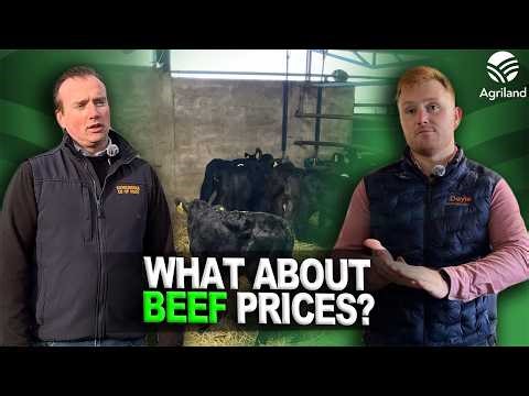 Confidence in Sixmilebridge mart despite pressure on beef prices