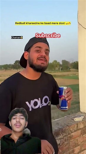 Shark Meme Green Screen - Funny Twist[209]