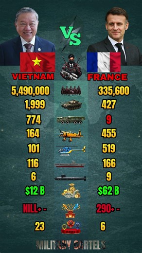 Vietnam vs France Military Power Comparison 2026