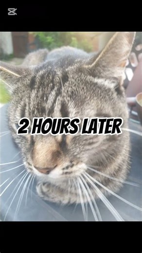 POV: Minecraft loading time 🤣 #minecraft #pov #shorts