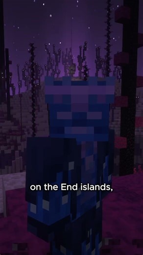 This mod adds the end update