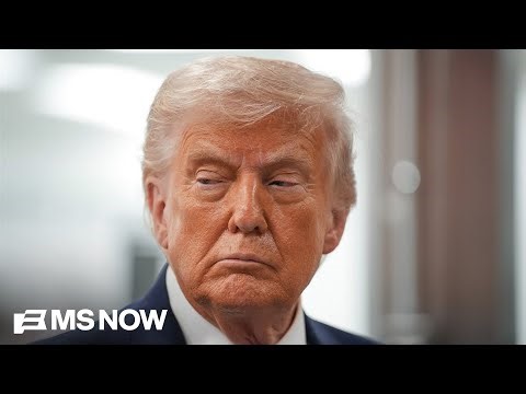 Trump ‘completely misunderstood’ Iranian regime’s capacity for resistance: Dem Rep.