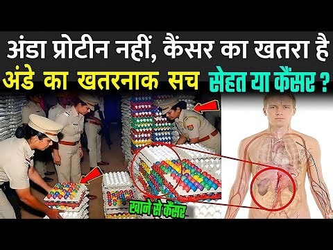 अंडा खाने से पहले ये वीडियो जरूर देखे | Egg Side Effects In Hindi