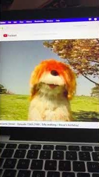 Sesame Street episode 1565
