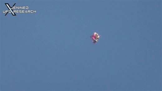 Balloon ❌Biological UFO ✅