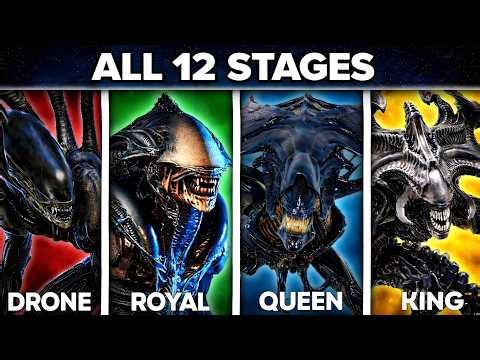 All 16 Stages of the Xenomorph’s Evolution! (Reaction)