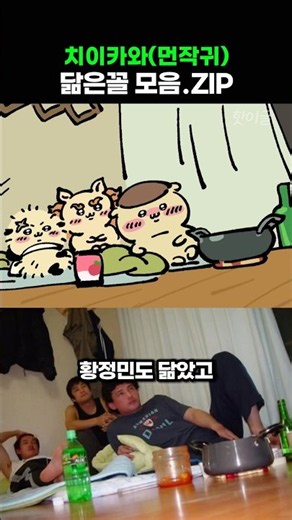 치이카와(먼작귀) 닮은꼴 모음 ZIP