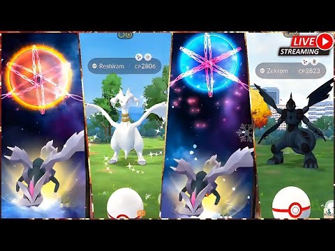 Last Chance 🥹 | 60+ Black Kyurem, White Kyurem, Reshiram & Zekrom Raids Pokémon Go LIVE