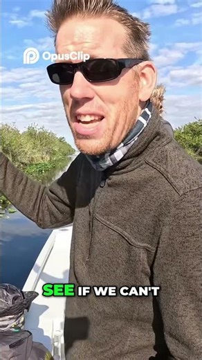 Pythons Invaded Florida! Giant Snakes Hunted in Everglades