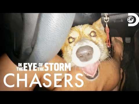 Storm Chaser Rescues Dog Moments Before Tornado Hits | In the Eye of the Storm: Chasers | Discovery