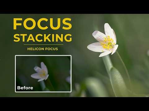 From Blurry to Sharp – This Is How with Helicon Focus