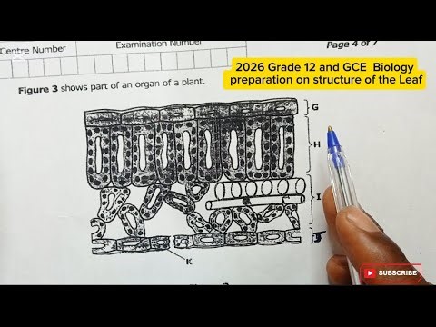 2024 Grade 12 Biology Paper 2