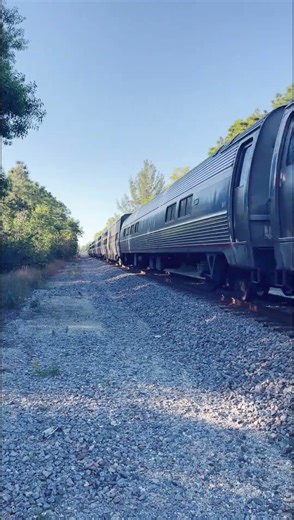 Wicked Fast Amtrak Silver Meteor Heading SOuth