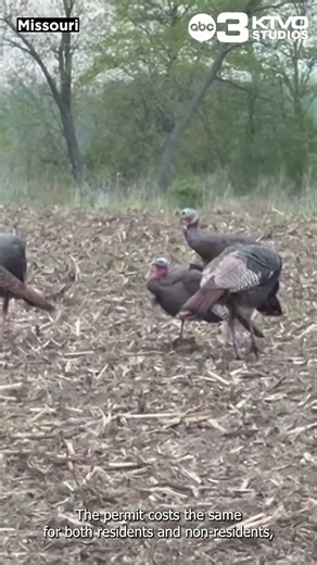 Missouri's Youth Spring Turkey Hunt is marking 25 years this weekend