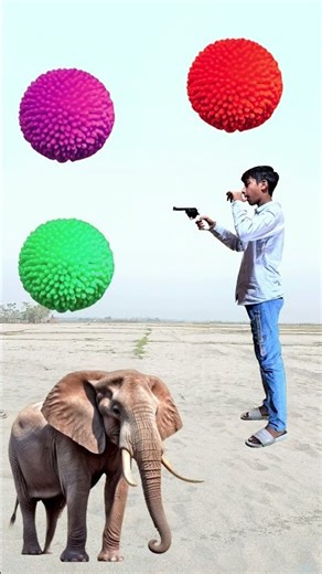 Rounding Yellow Kadambas to Tiger Horse Elephant Lion 🟡➡️🐅🐎🐘🦁 #shorts